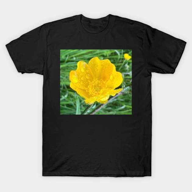 Truthful Yellow ButterCup in the Rain T-Shirt by Photomersion